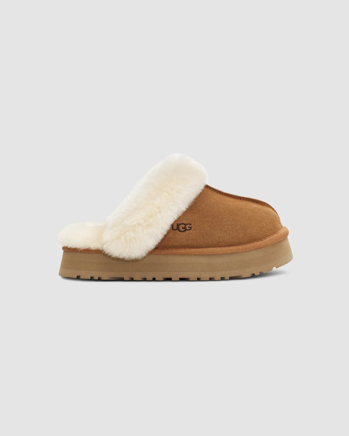 W Disquette - CHESTNUT