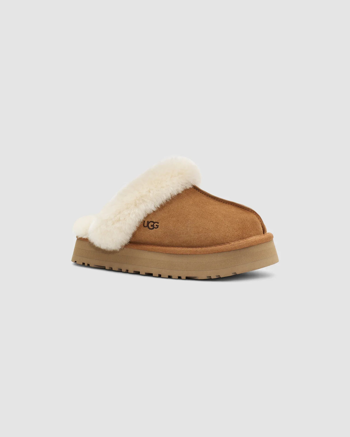 W Disquette - CHESTNUT