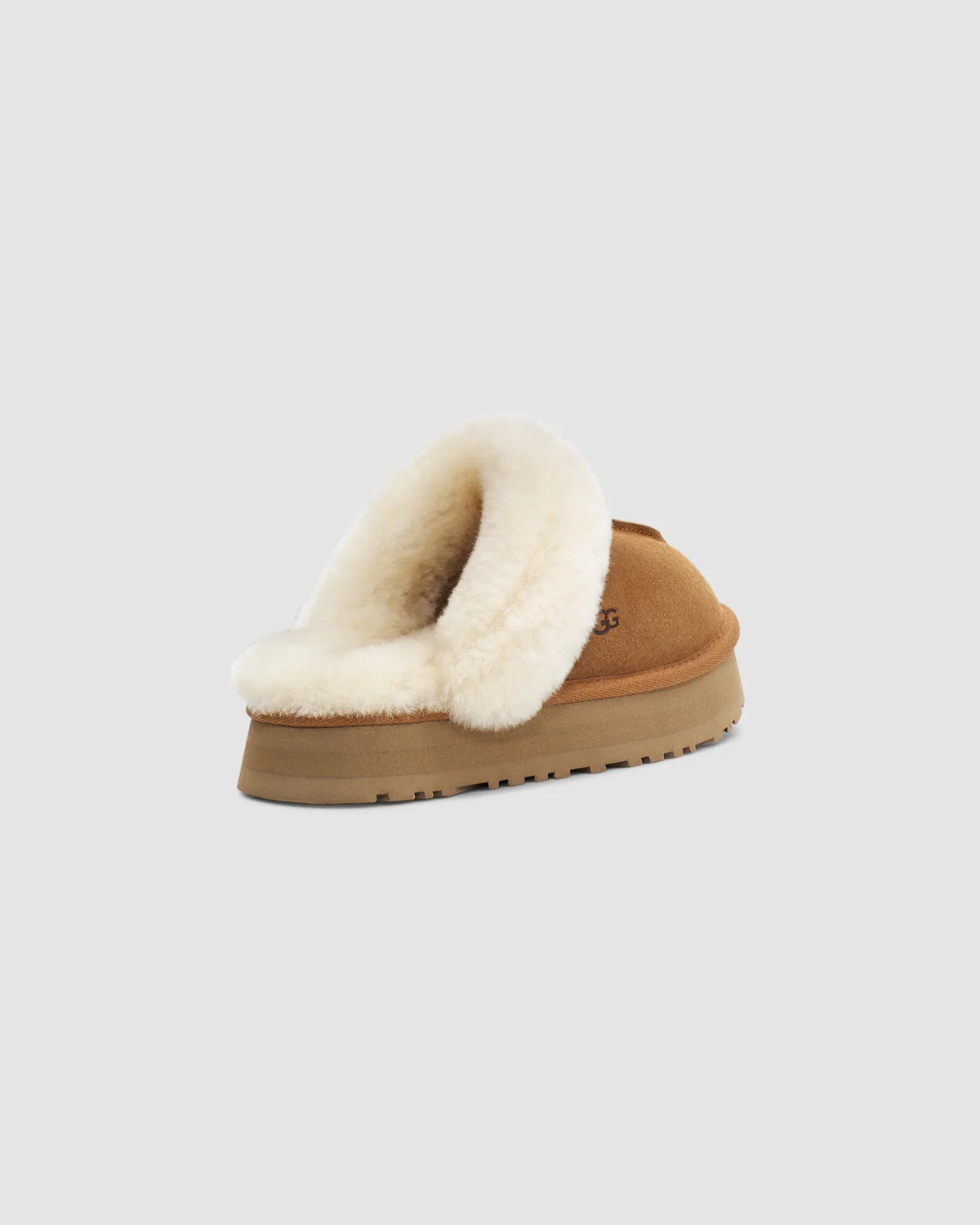 W Disquette - CHESTNUT