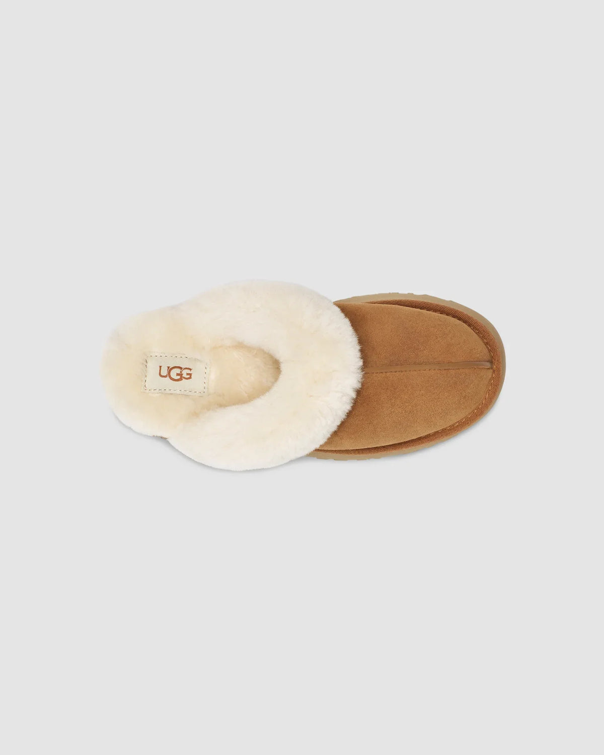 W Disquette - CHESTNUT