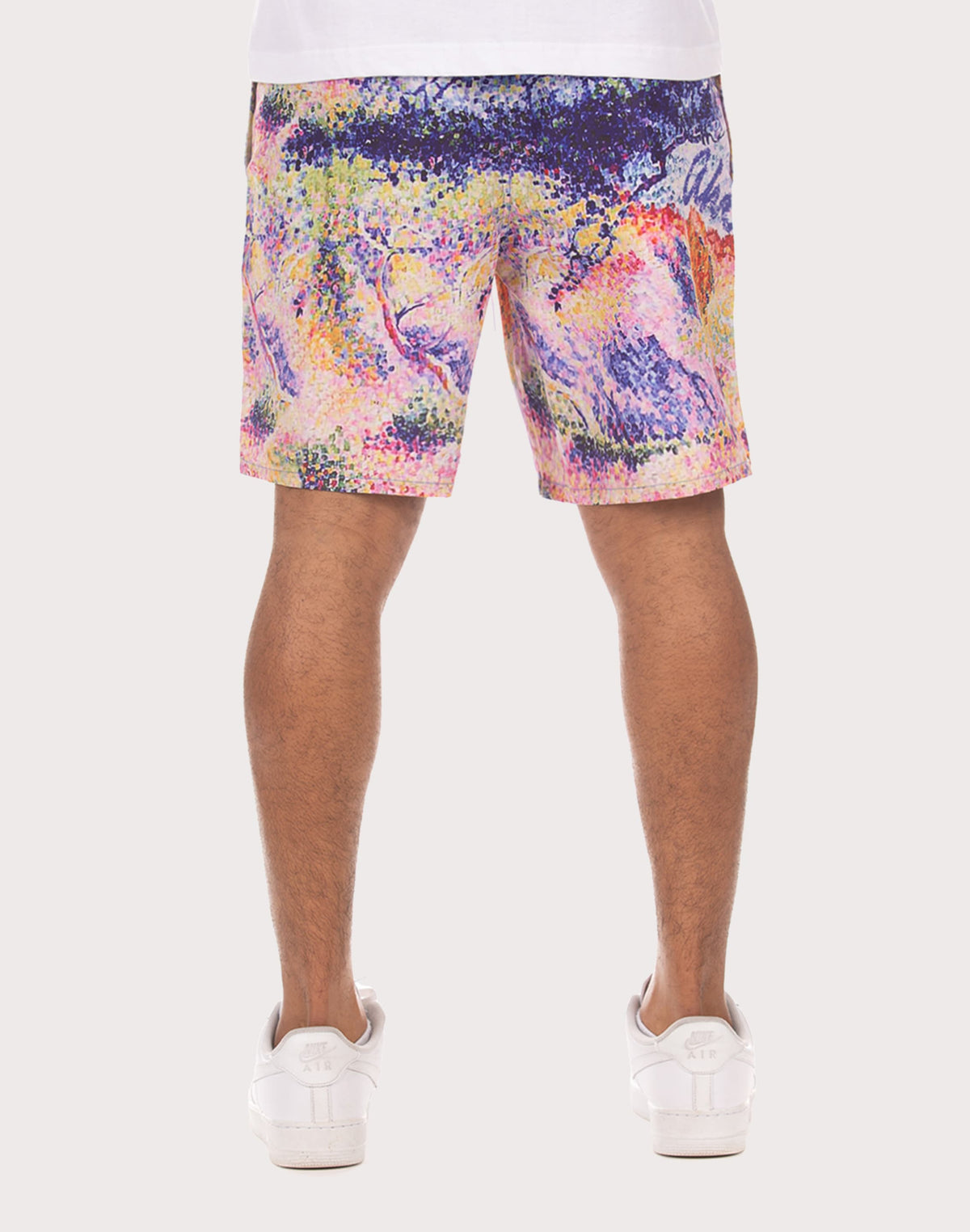 Akoo Landscape Nylon Printed Shorts