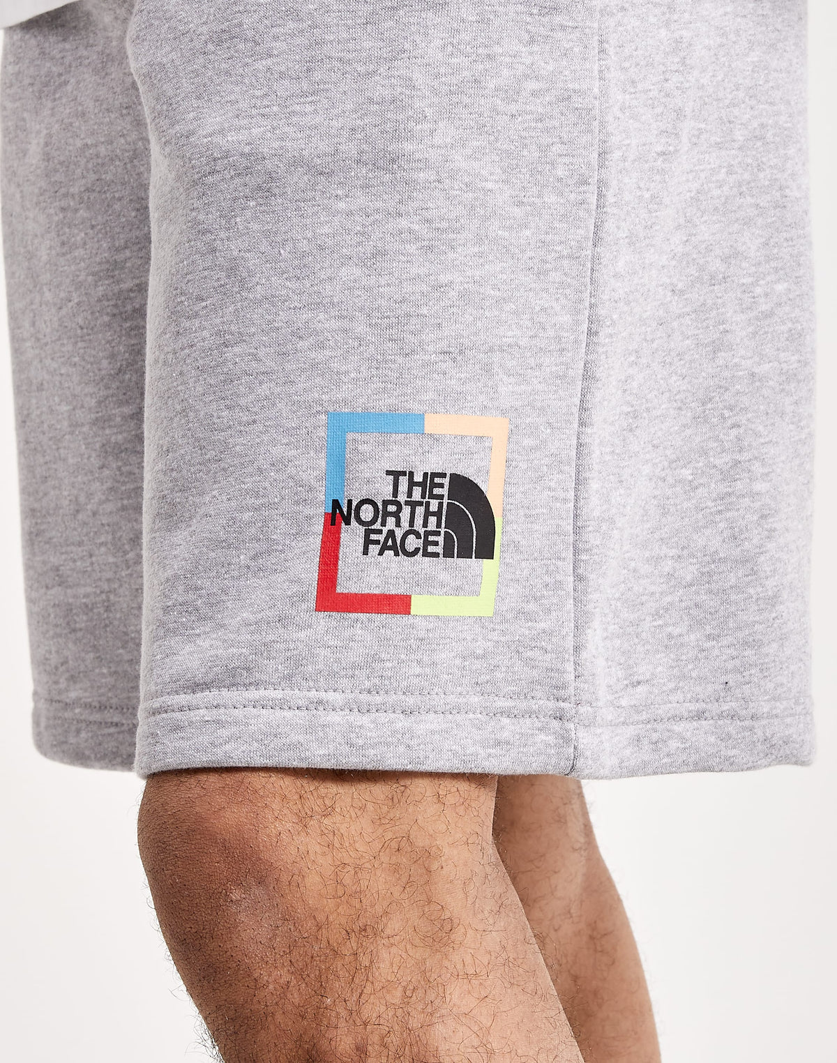The North Face Coordinates Shorts