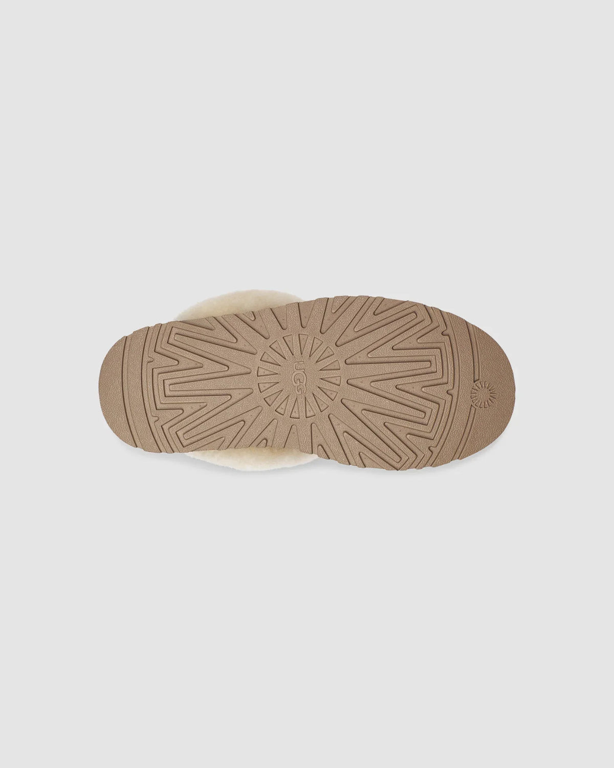 W Disquette - CHESTNUT