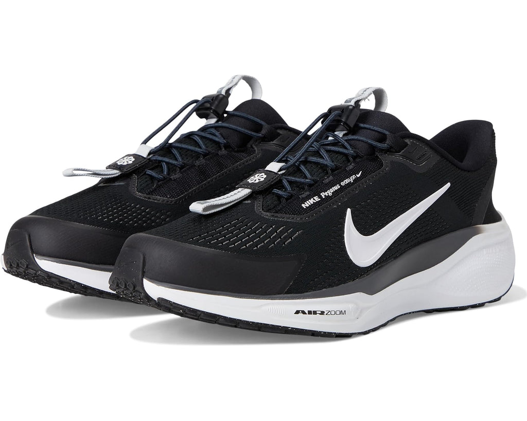 Men's Nike Pegasus Easy On Black/White/Anthracite/Photon Dust