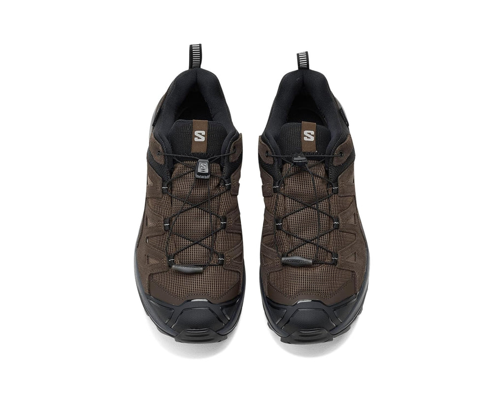 Men's Salomon X Ultra LTR Mid GTX Dark Earth/Delicioso/Sharkskin